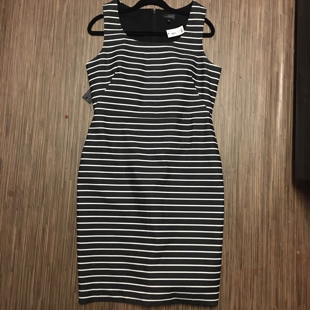 The limited dress striped cotton dress : size 12